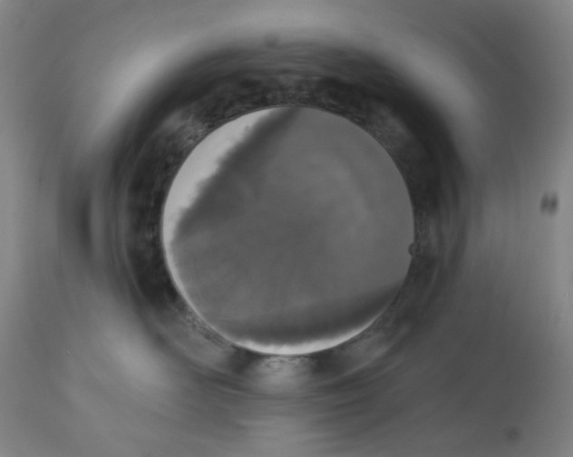 X0000112540526200909141315