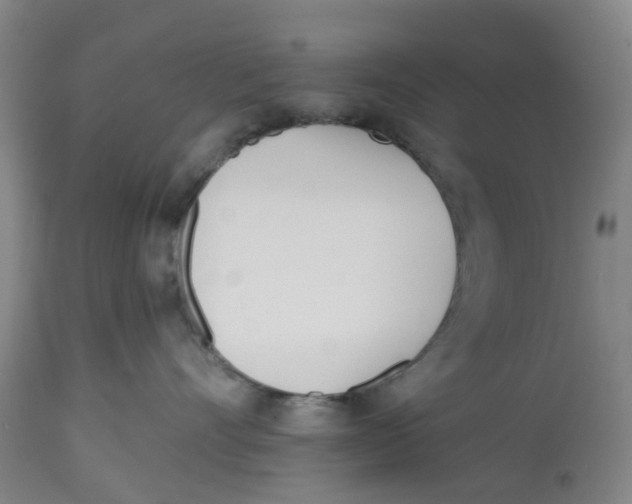 X0000112540528200909141315