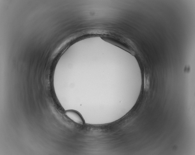 X0000112540531200909141314