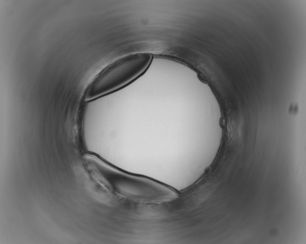 X0000112540532200909141314