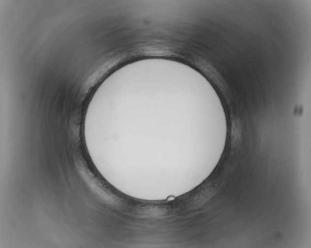 X0000112540533200909141314
