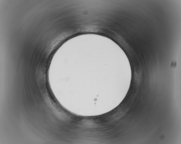 X0000112540534200909141314