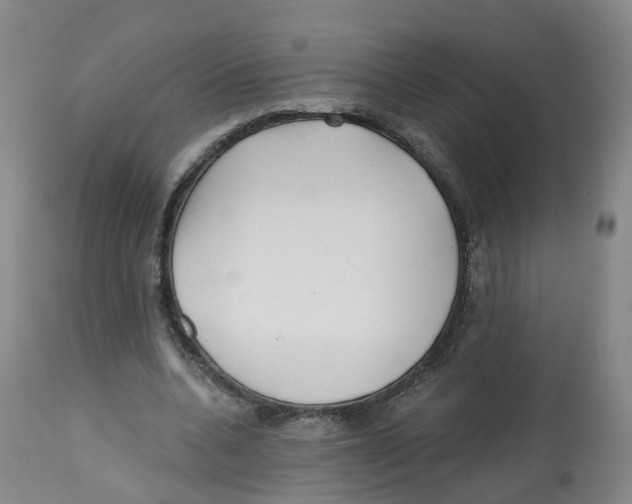 X0000112540536200909141314