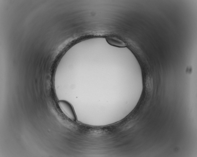 X0000112540540200909141314