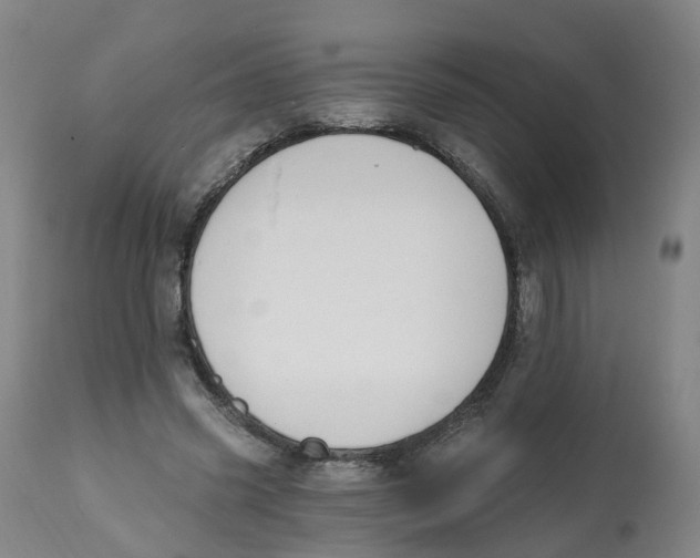 X0000112540541200909141314