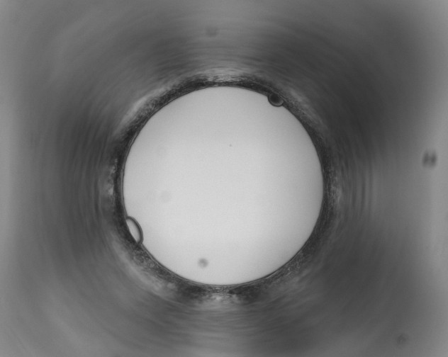 X0000112540543200909141314