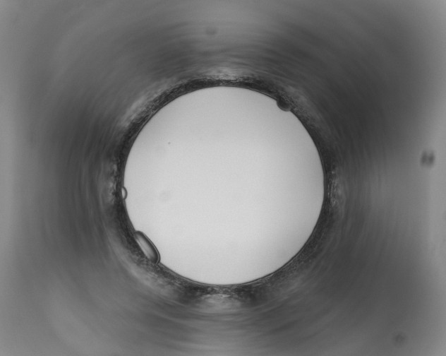 X0000112540544200909141314