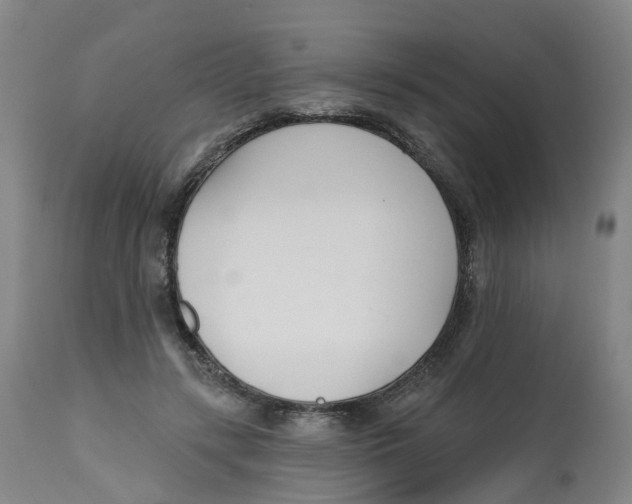 X0000112540547200909141314