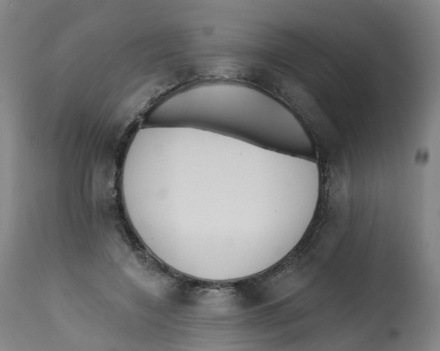 X0000112540548200909141314