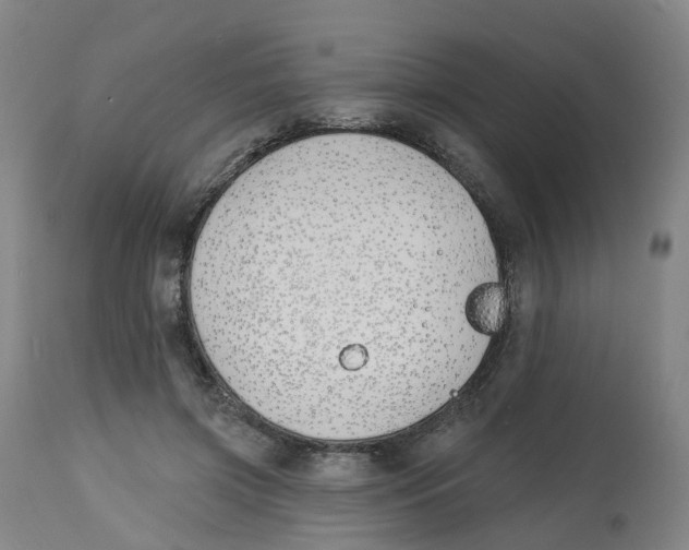 X0000112540549200909141314