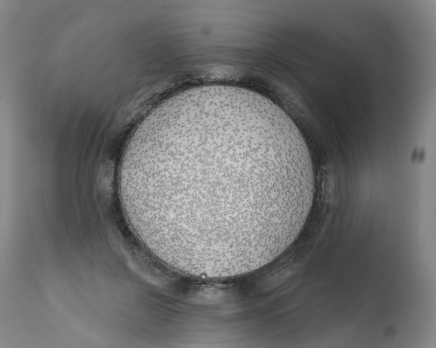 X0000112540550200909141315