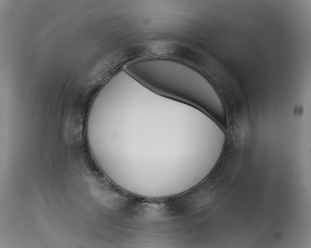 X0000112540552200909141315