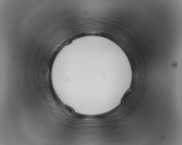X0000112540556200909141315