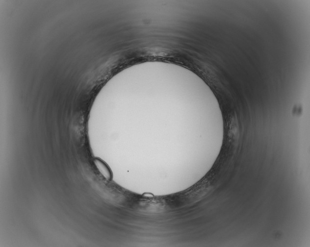 X0000112540559200909141315