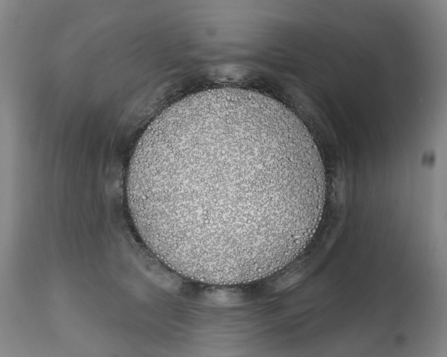 X0000112540561200909141315