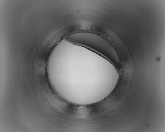 X0000112540562200909141315