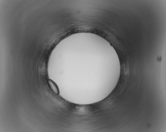 X0000112540564200909141315