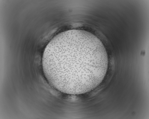 X0000112540565200909141315