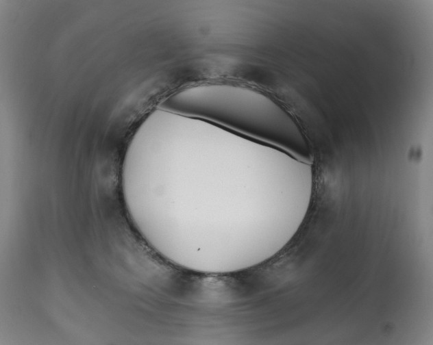 X0000112540566200909141315
