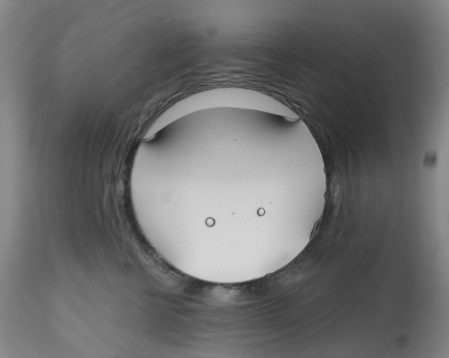 X0000112540570200909141315