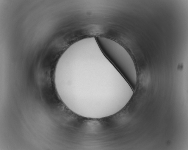 X0000112540572200909141315