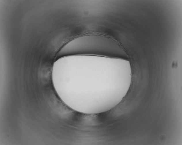 X0000112540576200909141315
