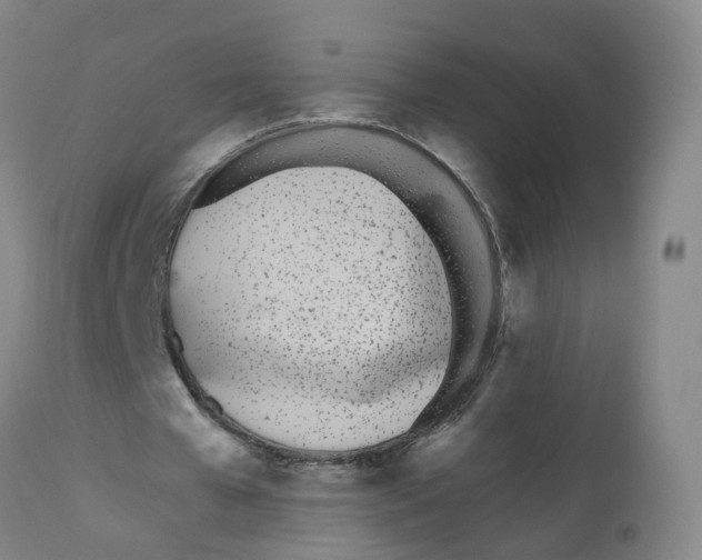 X0000112540577200909141314