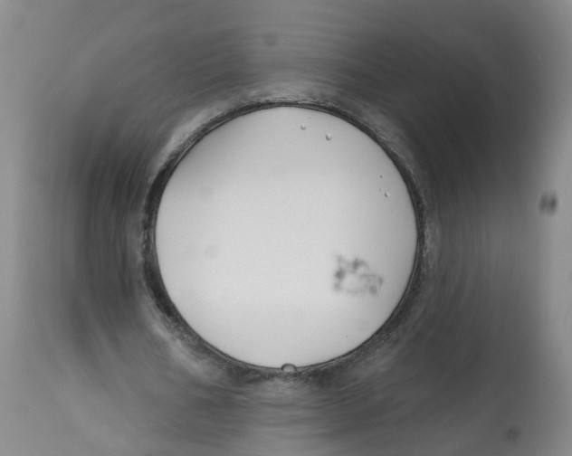 X0000112540578200909141314