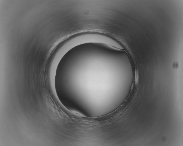 X0000112540579200909141314