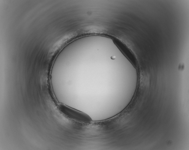 X0000112540581200909141314