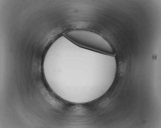 X0000112540589200909141314