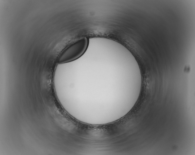 X0000112540593200909141314