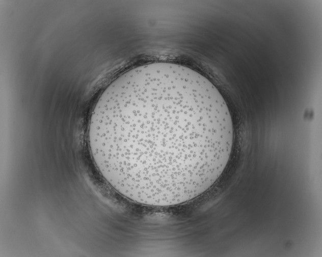 X0000112540594200909141314