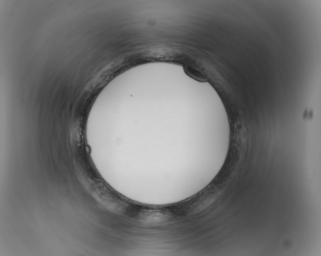 X0000112540597200909141314
