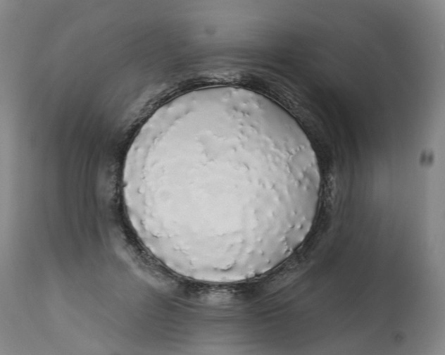 X0000112540600200909141314