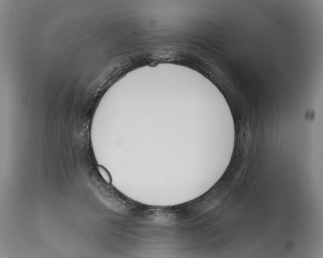 X0000112540601200909141314