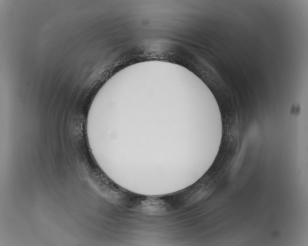 X0000112540603200909141314