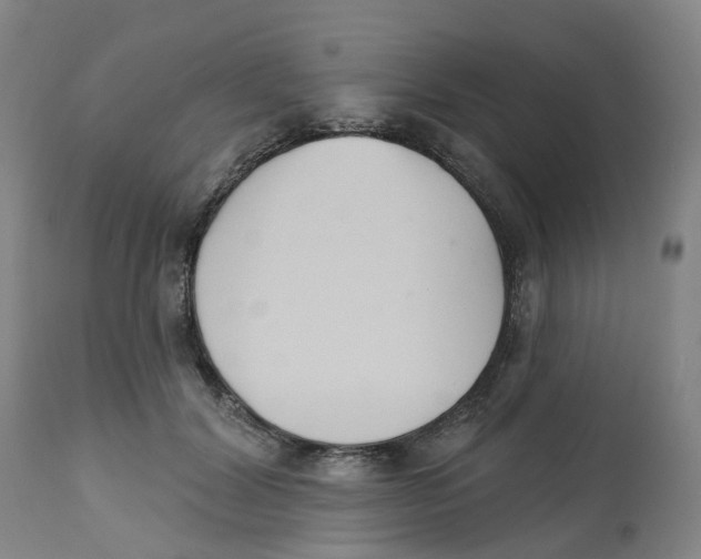 X0000112540604200909141314
