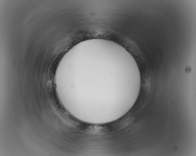 X0000112540607200909141314