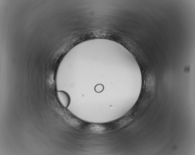 X0000112540610200909141314