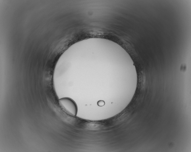 X0000112540614200909141314