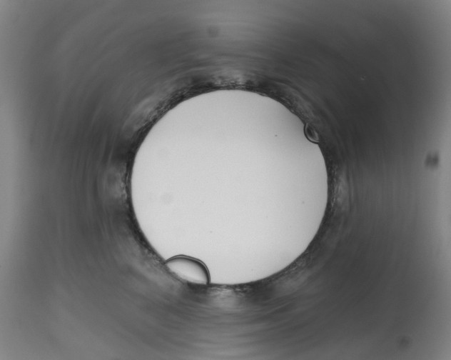 X0000112540616200909141314