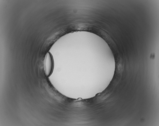 X0000112540620200909141313