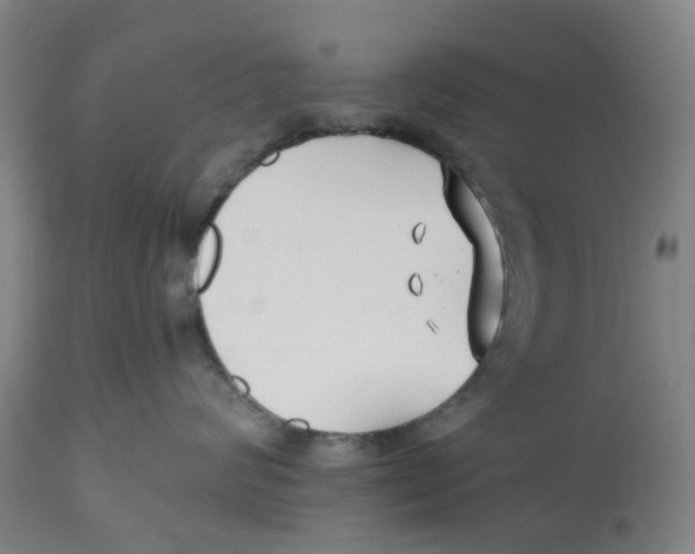 X0000112540624200909141313