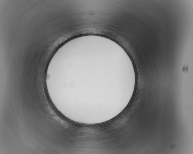 X0000112540625200909141312