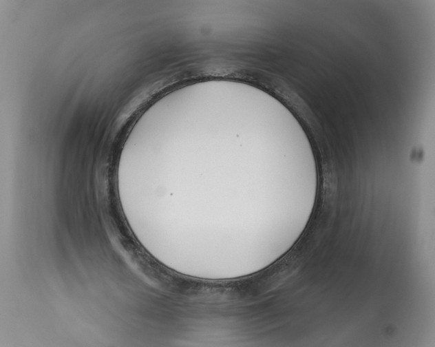 X0000112540626200909141312