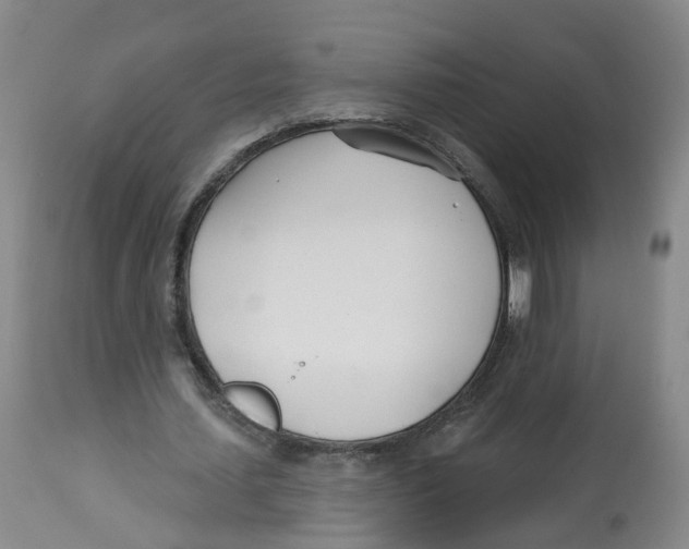 X0000112540627200909141313