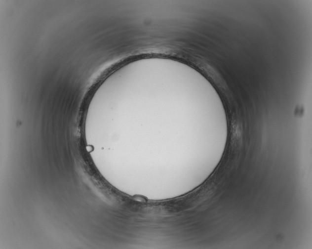 X0000112540628200909141313