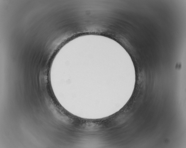 X0000112540632200909141313