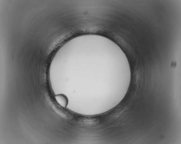 X0000112540638200909141313
